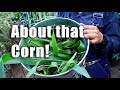 Garden Update | Shed, Corn, Guava Juice | BONUS Workday | Los Angeles Garden Update | Shed, Corn, Guava Juice | BONUS Workday | Los Angeles