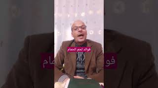 فوائد لحم الحمام