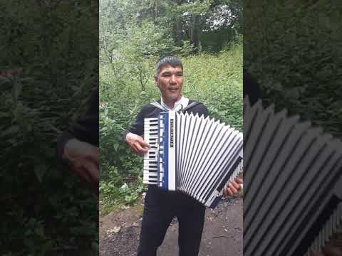 Дыйканбаев Тынчтык