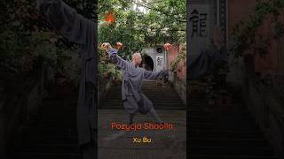 poland Jak poprawnie wykonać pozycjęXubu. Shaolin Kung Fu. Mistrz Shi Hengyikungfu shaolinkungfu?