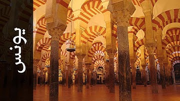 سورة يونس صلاح بو خاطر - Surah Yunus Slaah Bukhatir