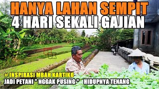 Tanaman Modal Kecil Untung Besar / Tanaman yang Cepat Menghasilkan Uang