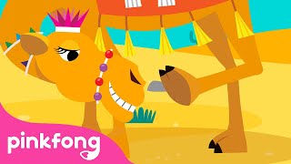 Unta | Lagu Binatang | Kartun & Lagu Anak | Pinkfong dan Baby Shark