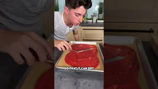 DIY Fruit Roll-Up Recipe @eitan