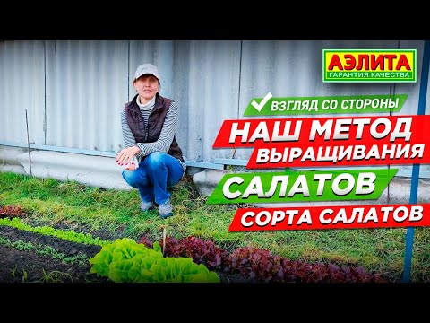 Этот метод выращивания салатов №1. Любимые сорта салатов.