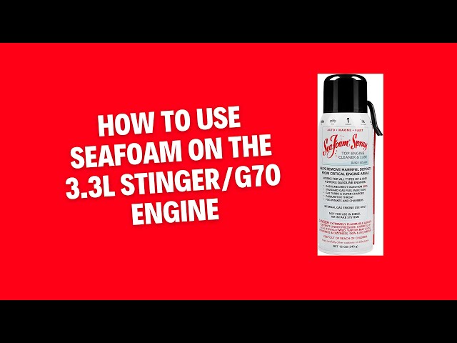 SEAFOAM SPRAY - SUPER CLEAN Your Motor! 