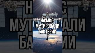 НА МКС МУТИРОВАЛИ БАКТЕРИИ #новости #космос #мкс #тренды #shortvideo #tiktok #россия