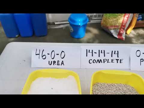 Types of fertilizers commonly used and stages ng pag apply ng fertilizer