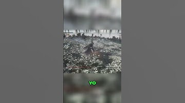 Weapon Switched? ⚔️ Is This Strategy Genius? 🤔