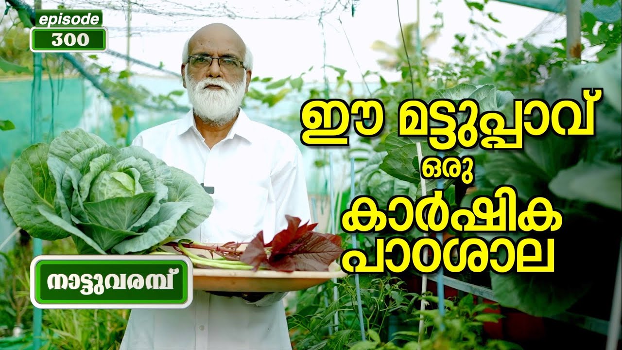 ഈ മട്ടുപ്പാവ് ഒരു കാർഷിക പാഠശാല | NATTUVARAMBU | EPISODE-300 | JANAM TV | 21-01-2025