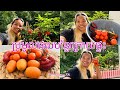 ប្រមូលផលបន្លែក្រោយផ្ទះ🥰- Harvesting vegetables in my balcony garden