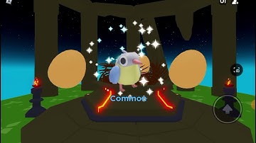 #roblox roblox flappy bird race