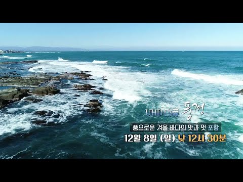 UHD 다큐 풍경 - 풍요로운 <strong>겨울</strong> 바다의 맛과 멋... <strong>포항</strong> / 연합뉴스TV (YonhapnewsTV)