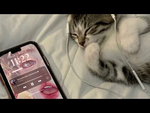 Потап и Настя