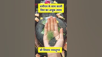 शमीपत्र के साथ काली तिल का अचूक उपाय #pradeepmishra #upay #mahadev