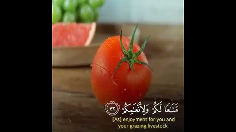 تلاوة عطرة من سورة عبس بصوت القارىء رعد الكردي