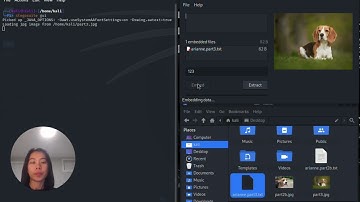 Cyber Security - How to Use StegoSuite on Kali Linux
