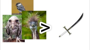 worlds fastest bird up | item asylum