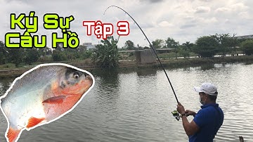 Mồi Câu Cá Chim Cực Đơn Giản | Ký Sự Câu Hồ Tập 3 | Câu Cá Hồ Út Phương | Thích Trải Nghiệm Channel