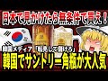 【ゆっくり解説】韓国で角瓶が大人気！その理由に驚愕【バ韓国】