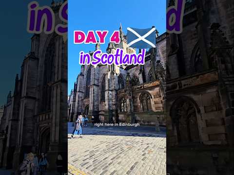 19 days in