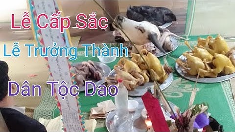 Lễ Cấp Sắc Dân Tộc Dao Áo Dài Hà Giang Ceremony of Ethnic Minority Graduation Ha Long Dress