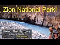 An Injury at Zion National Park | The Narrows | Van Life | Full Time Solo Female