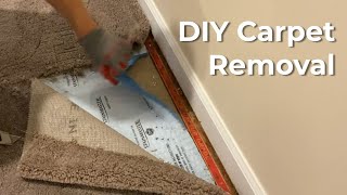 [Quick How-to] Remove Carpet, Easy DIY, Just need a utility knife! by Hammer and Rake 1,707 views 2 years ago 2 minutes, 9 seconds