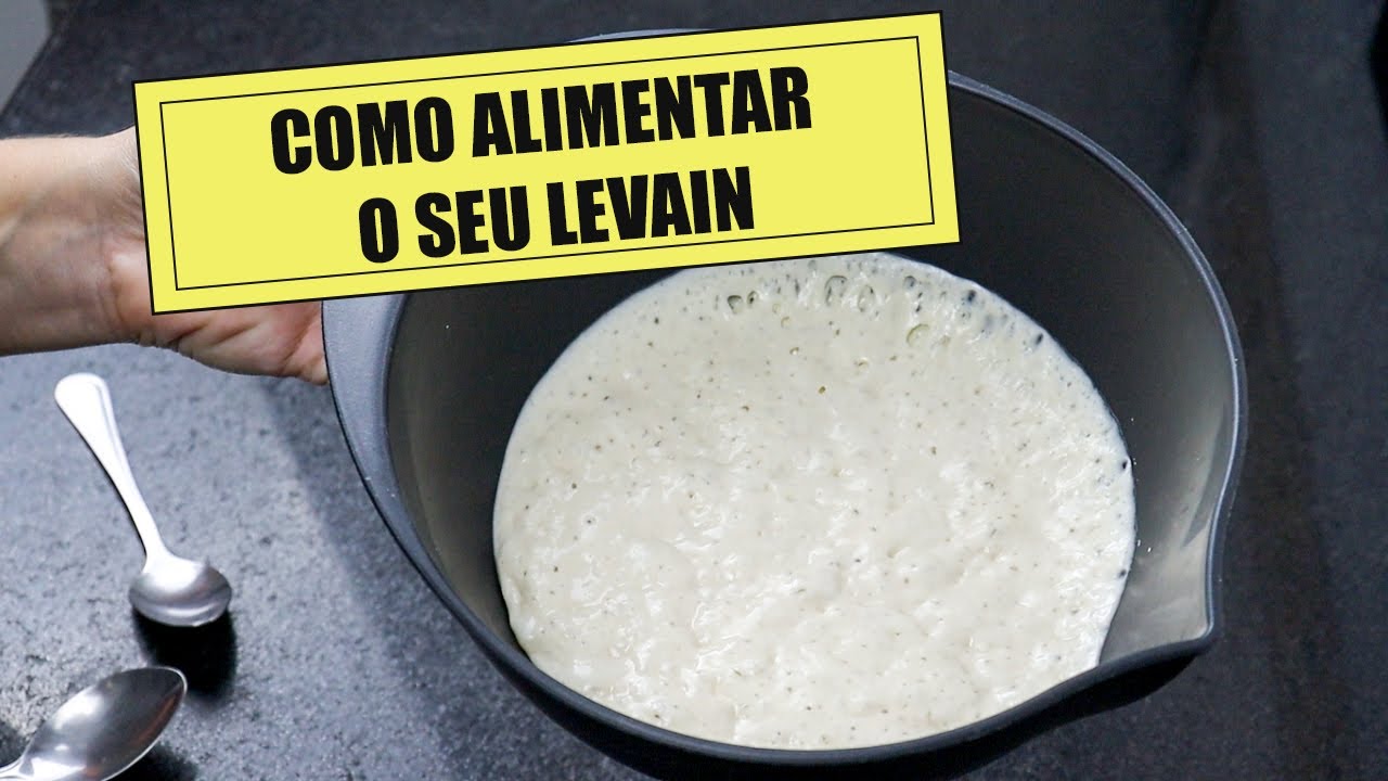 DESCUBRA O SEGREDO DE COMO ALIMENTAR O SEU LEVAIN | FERMENTAÇÃO NATURAL | Anna Laura