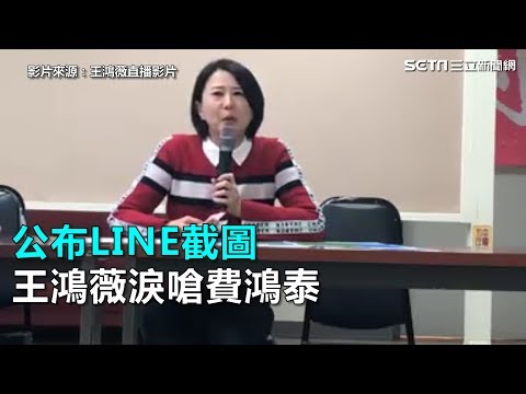 公布LINE截圖　王鴻薇淚嗆費鴻泰｜三立新聞網SETN.com