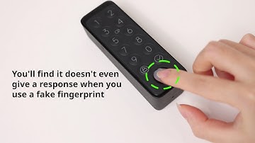 Can fake fingerprints be used with Keypad Touch?