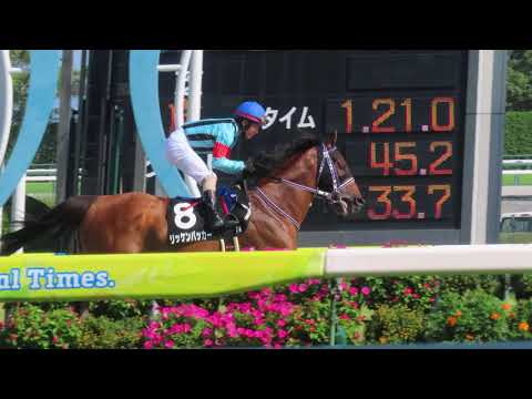 2012年 桜花賞（GⅠ） | ジェンティルドンナ | JRA公式 - YouTube