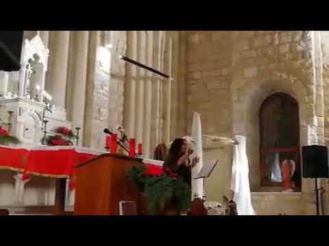 كل الامم ترنم لك كلمات رواد المر الحان واداء نيللي سكر توزيع مروان معلوف