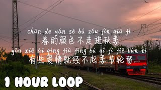 1 HOUR LOOP/一小时循环/1시간반복【错季-秋原依】CUO JI-QIU YUAN YI /Pinyin Lyrics, 拼音歌词, 병음가사