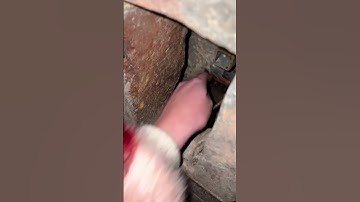 The CACHE of Amontillado 🧱 #shorts