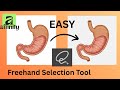 (2026) Freehand Selection Tool Affinity Tutorial