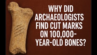 Why Did Archaeologists Find Cut Marks On 100,000 Year Old Bones