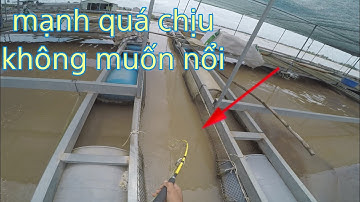 săn hàng - đụng phải hugo quá mạnh kéo đau lưng luôn | tập 107 |khoái câu cá