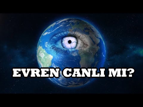 Video: Canlı bir organizmanın yaşam döngüsü nedir?