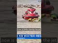Dogs can pull 50 times their weight — watch Kelby tow a jet ski