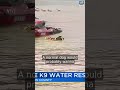 Dogs can pull 50 times their weight — watch Kelby tow a jet ski