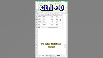 how to quickly hide columns and rows in Microsoft Excel using keyboard shortcuts.#excel #exceltips