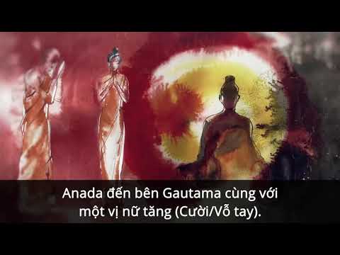 Sadhguru Tiếng Việt