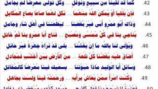 قصيدة أبي طالب في نصرة النبي - محمد بن هادي المدخلي