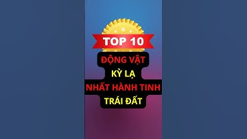 Top 10 Động Vật Kỳ Lạ Nhất Thế Giới | Những Sinh Vật Độc Đáo Khó Tin #DongVatKyLa #Top10DongVat