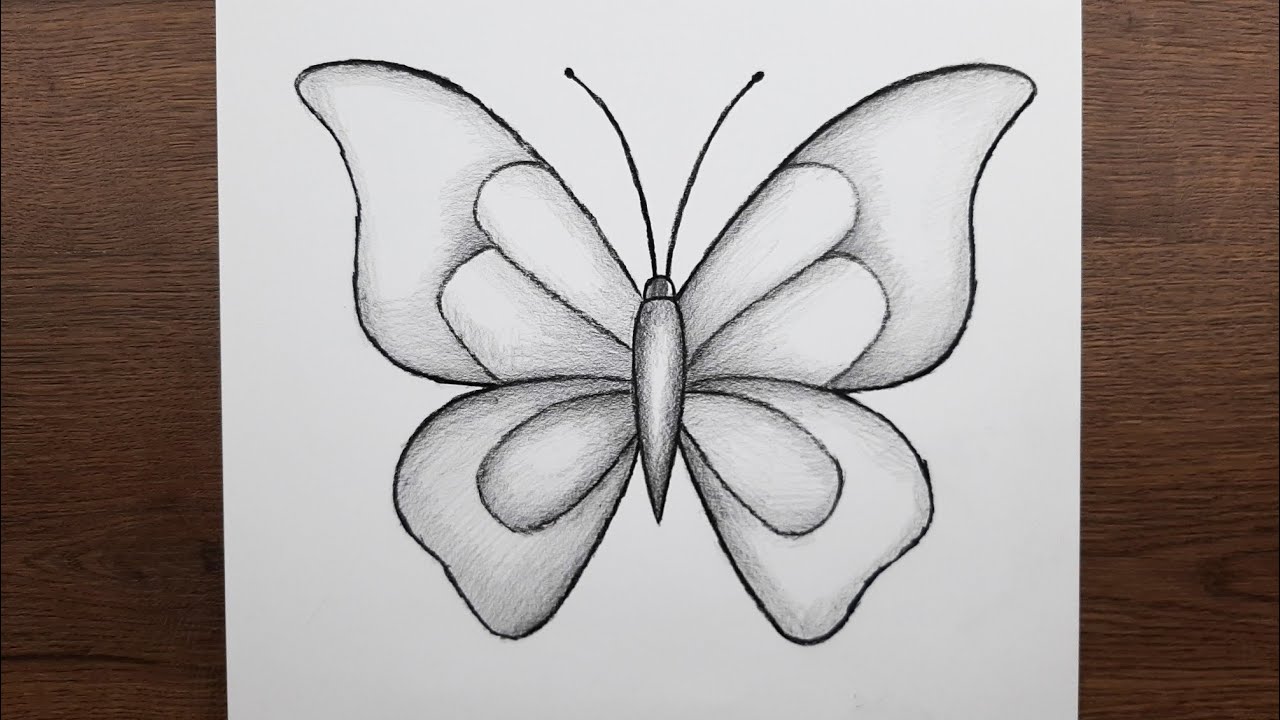 Kolay karakalem kelebek resmi nasıl çizilir.