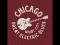Chicago blues 25