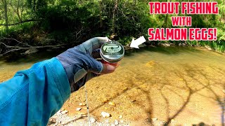 How to Catch Trout with Salmon Eggs