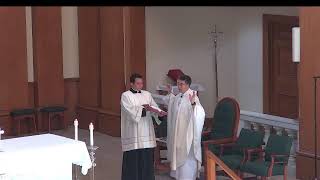 St. Petronille LiveStream - Mass 8:00 am, Saturday, July 11, 2026. St. Benedict.