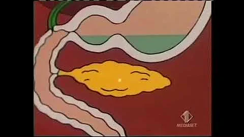 Cosa dare ai bambini per il mal di stomaco?